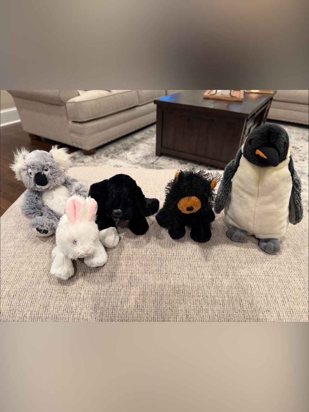 GANZ Plush Set (5)